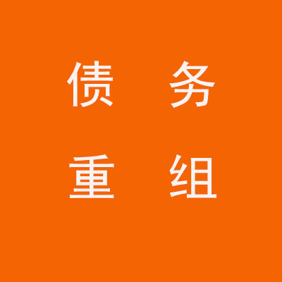 康保个人债务重组优化